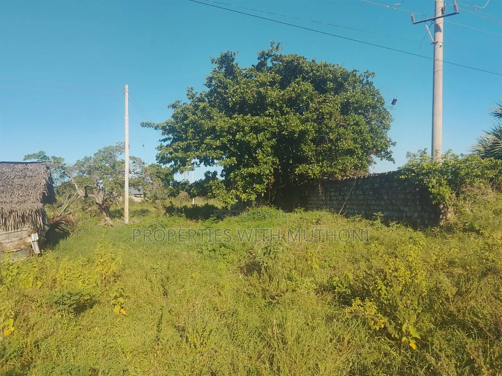 1/2 Acre for Sale in Ukunda, Diani. in Ukunda