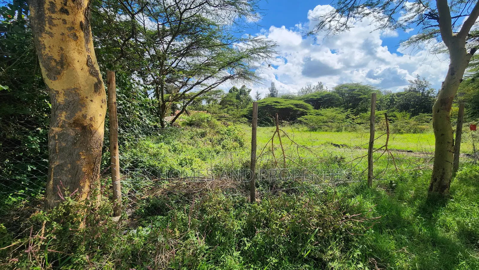 Plot for Sale Near Green Garden School Nazarene Area in Maasai Lodge