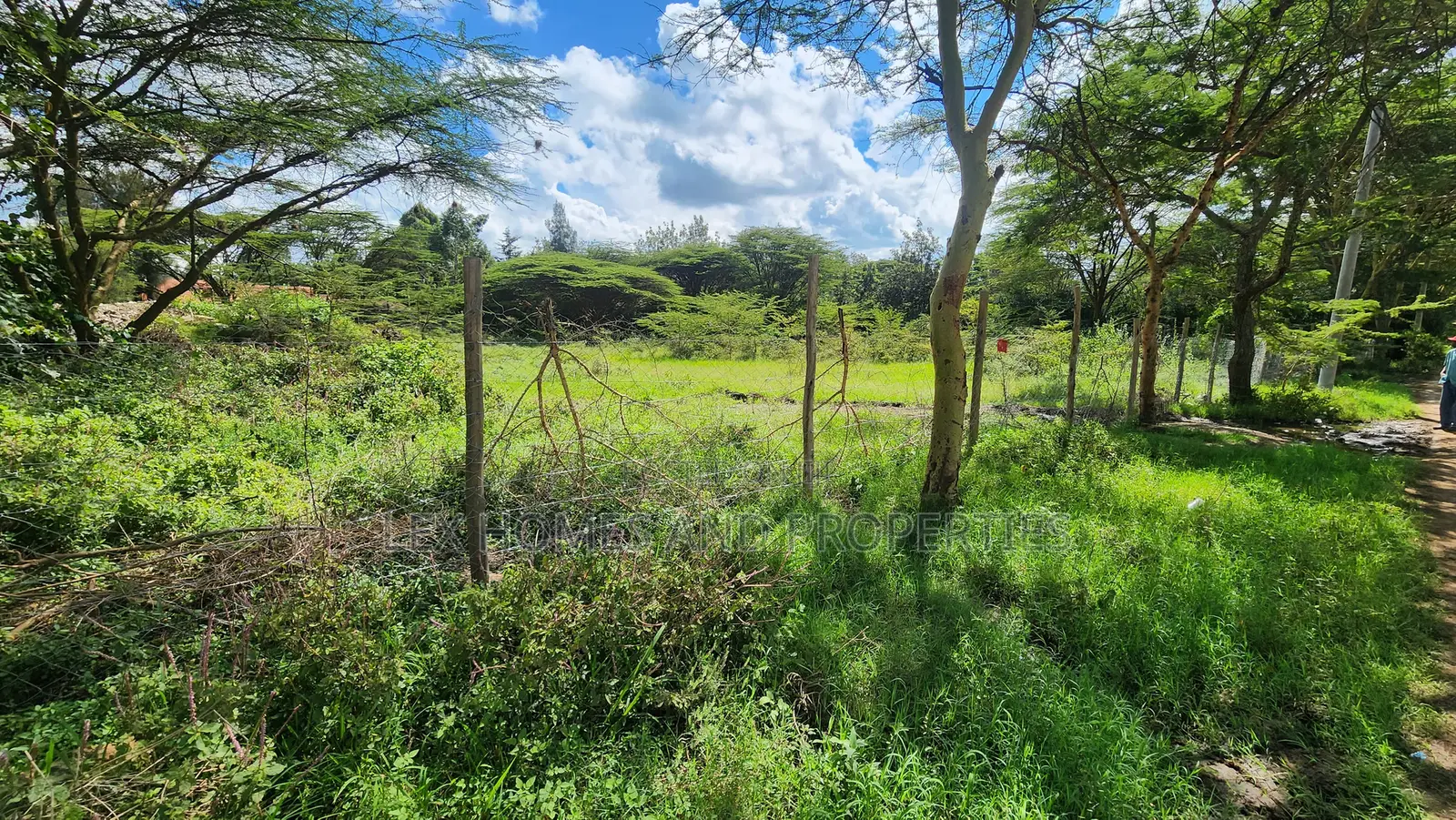 Plot for Sale Near Green Garden School Nazarene Area in Maasai Lodge
