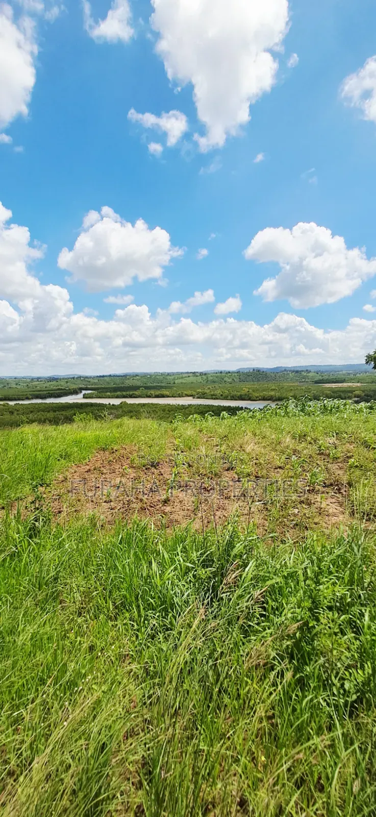 For Sale 5 Acres Creek Plot Mtwapa in Mtwapa