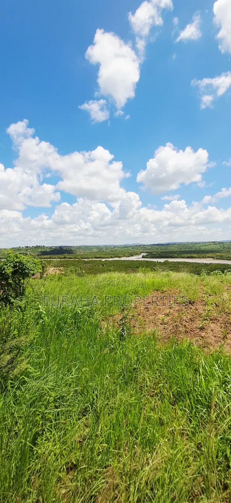 For Sale 5 Acres Creek Plot Mtwapa in Mtwapa