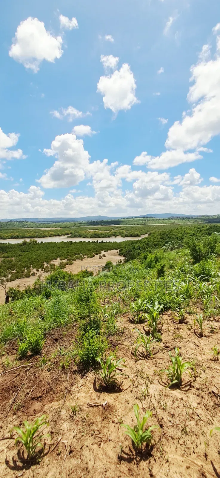 For Sale 5 Acres Creek Plot Mtwapa in Mtwapa