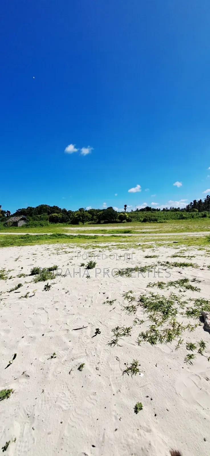 For Sale 24 Acres Beach Land Vipingo in Vipingo