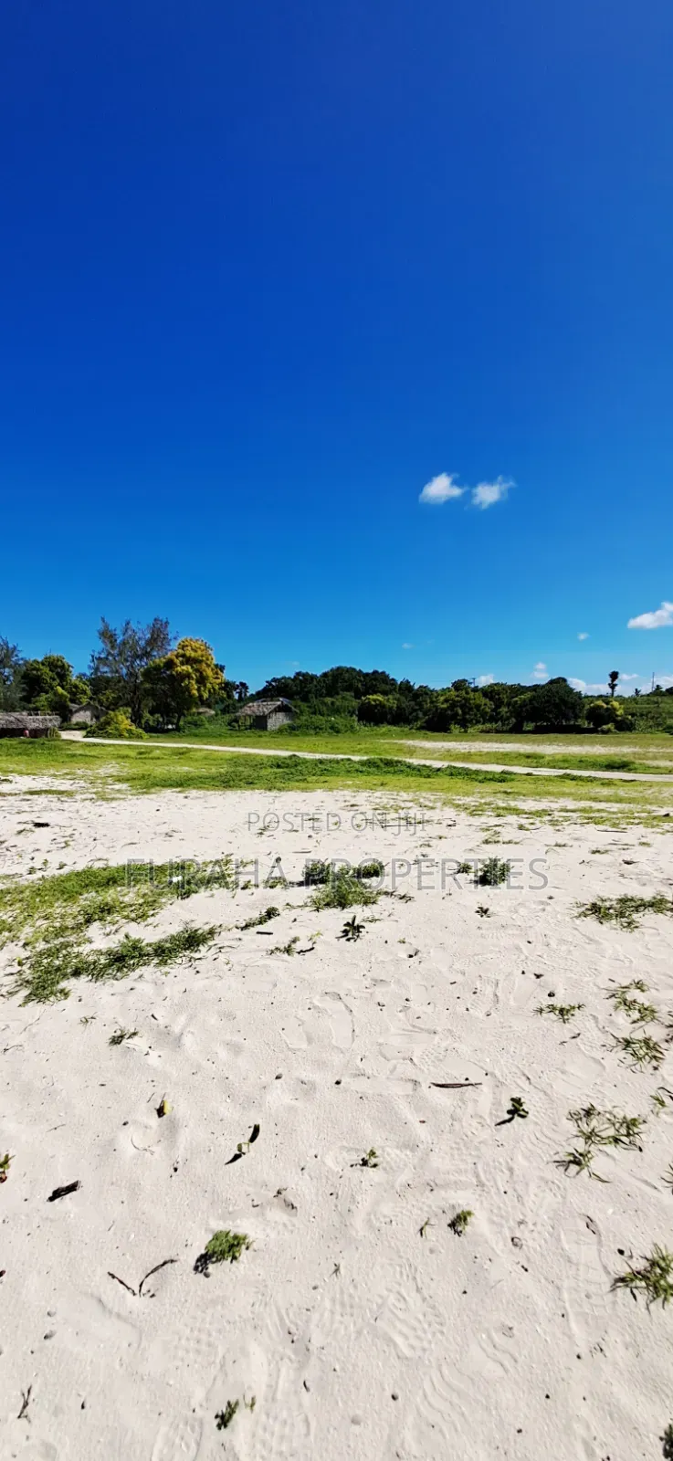 For Sale 24 Acres Beach Land Vipingo in Vipingo