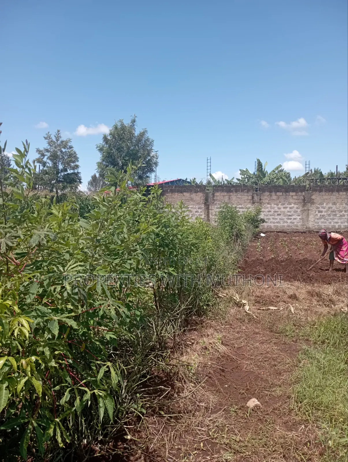 1/4 Acre of Land for Sale in Kiaga in Kangai