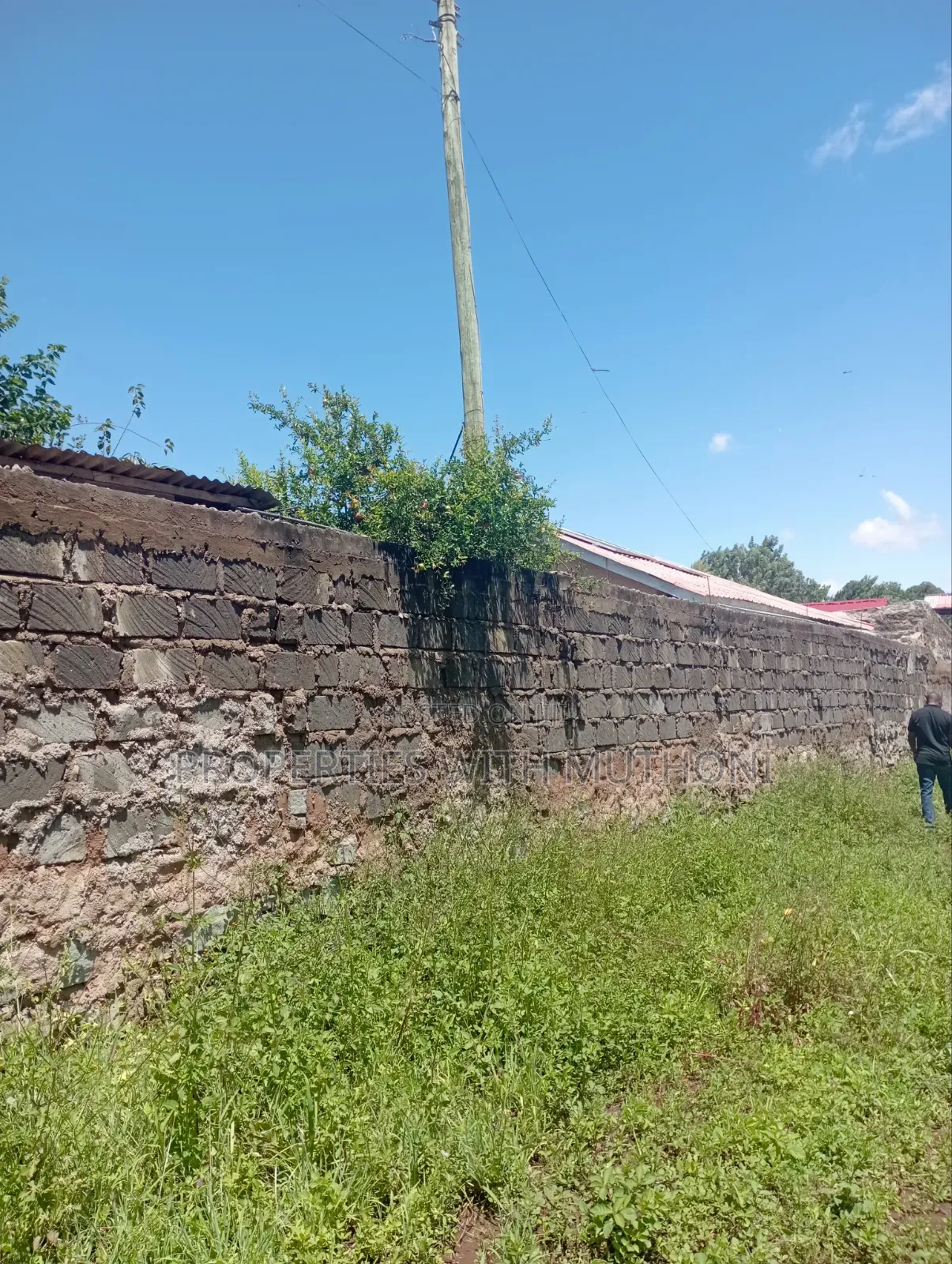 1/4 Acre of Land for Sale in Kiaga in Kangai