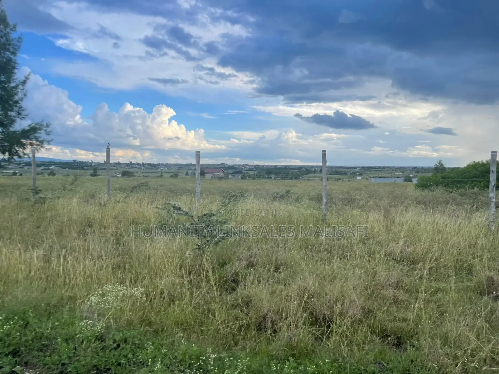 50 by 100 Plots,Mwalimu Farm 5km From Kagundo Road in Kamakis