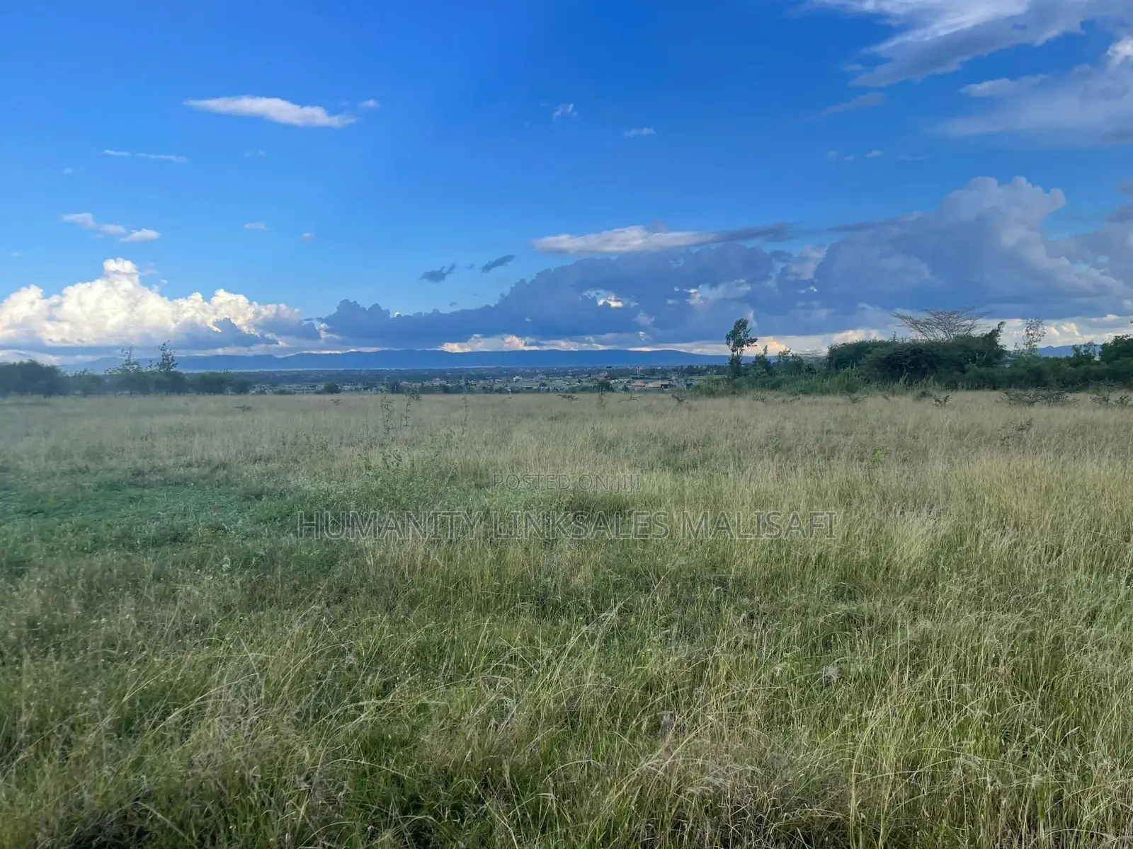 50 by 100 Plots,Mwalimu Farm 5km From Kagundo Road in Kamakis