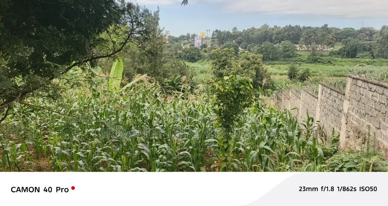 Thome Balozi Estate Land for Sale in Thome