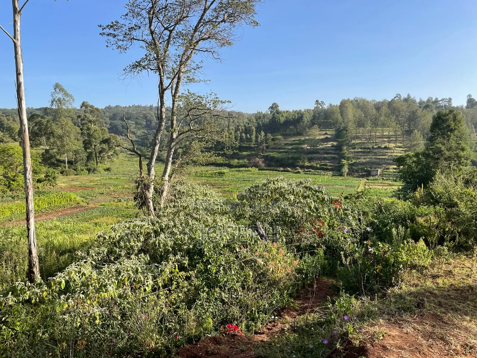 Kerarapon 1/4acre Plots for Sale in Kerarapon