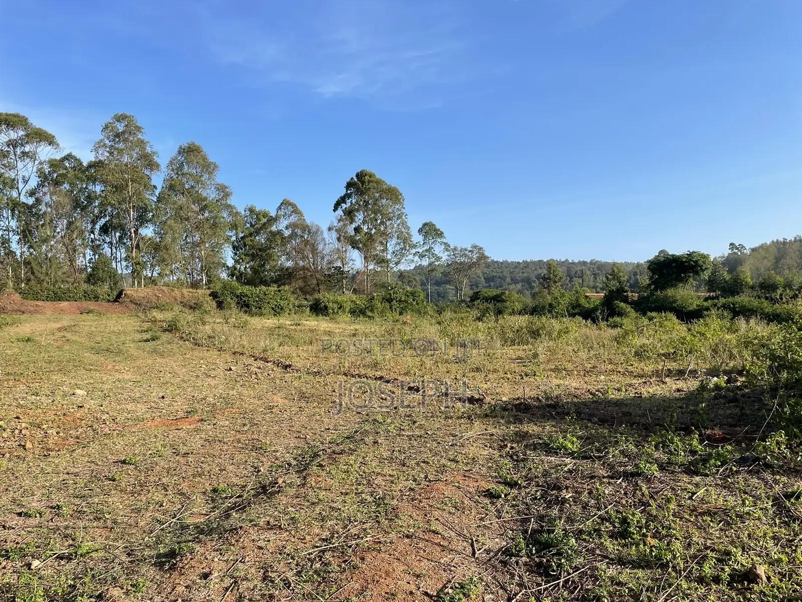 Kerarapon 1/4acre Plots for Sale in Kerarapon