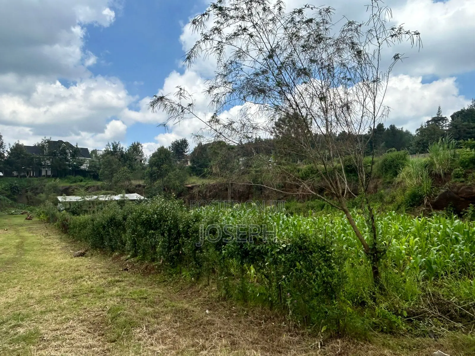 Kerarapon 1/4acre Plots for Sale in Kerarapon