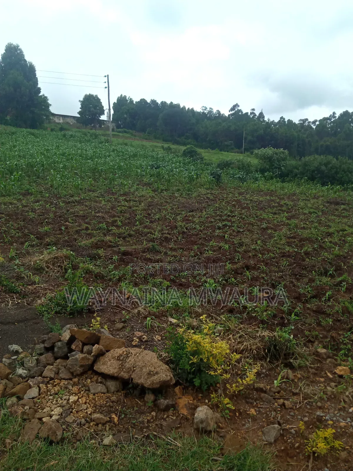Distress Sale! 0.075 Plot, in Kikuyu 1.8m in Zambezi/Sigona