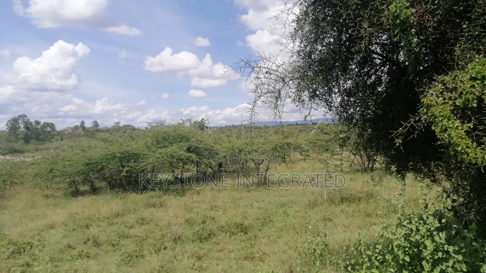 Prime Plots for Sale in Mavoko,Machakos in Nzoiani