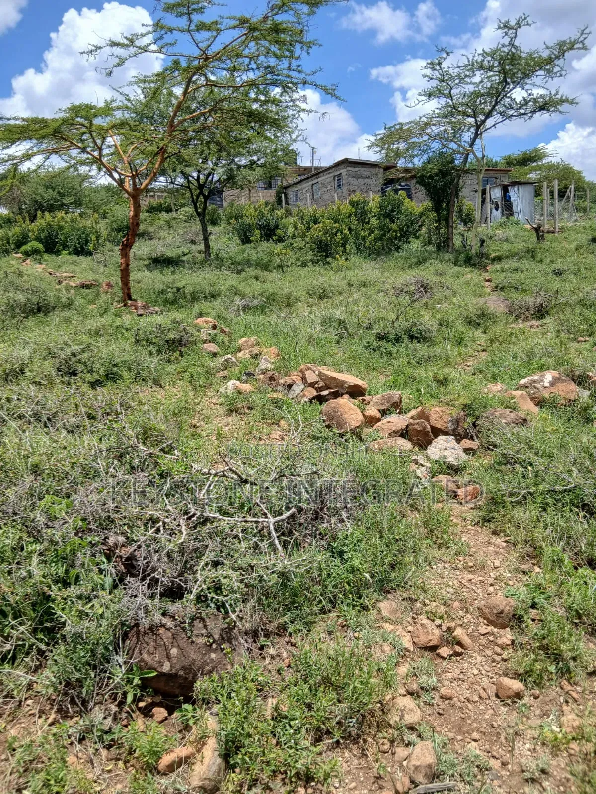Prime Plot for Sale in Kisamis,Kajiado in Magadi