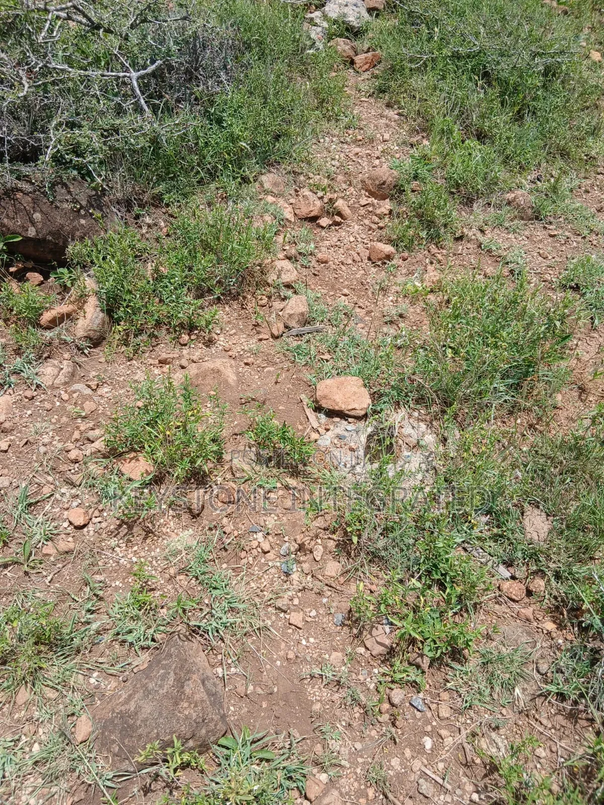 Prime Plot for Sale in Kisamis,Kajiado in Magadi