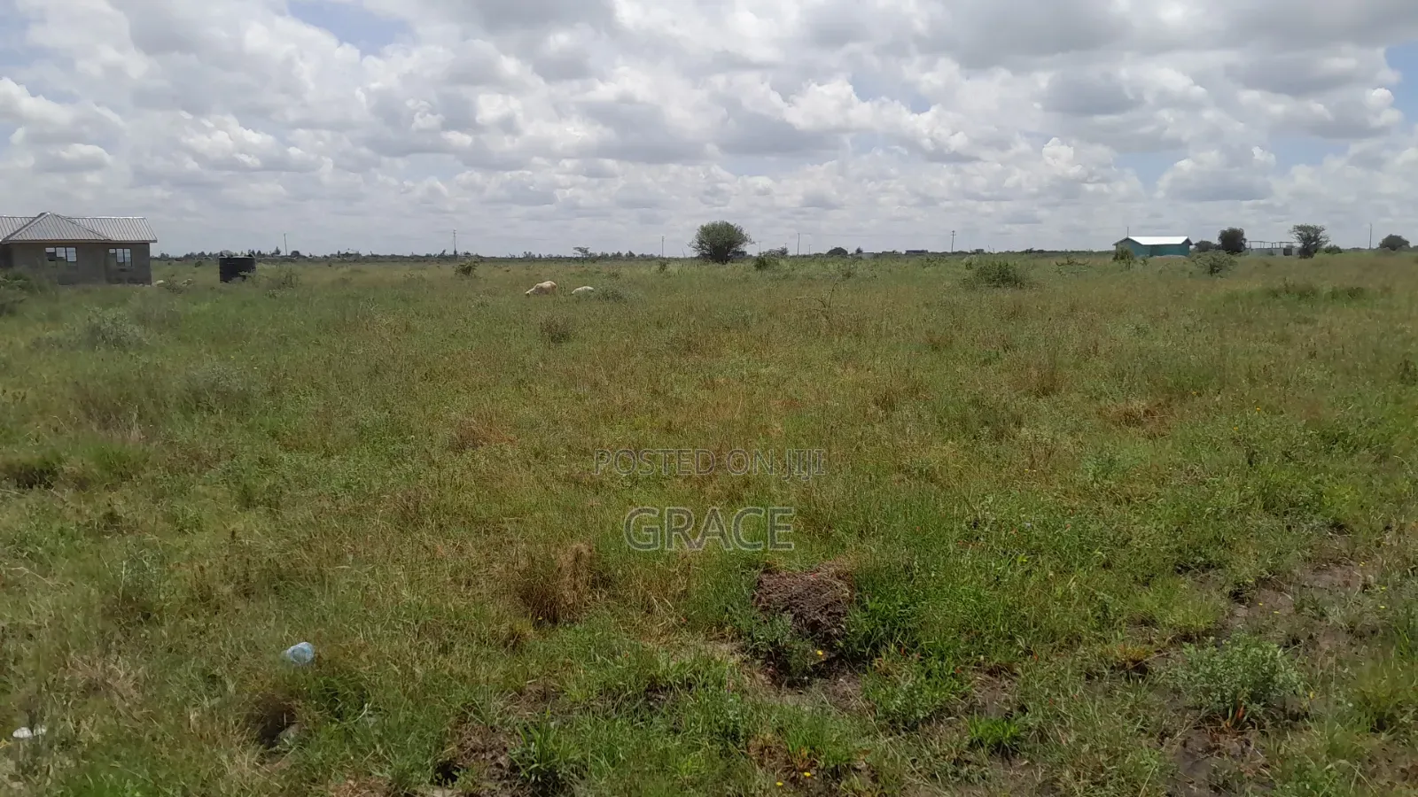 Exclusive Plots in Viraj Syokimau in Viraj Area
