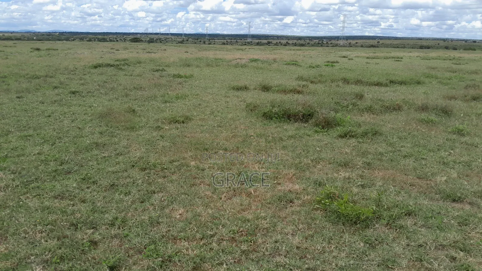 Amani Gardens Off Namanga Highway in Namanga