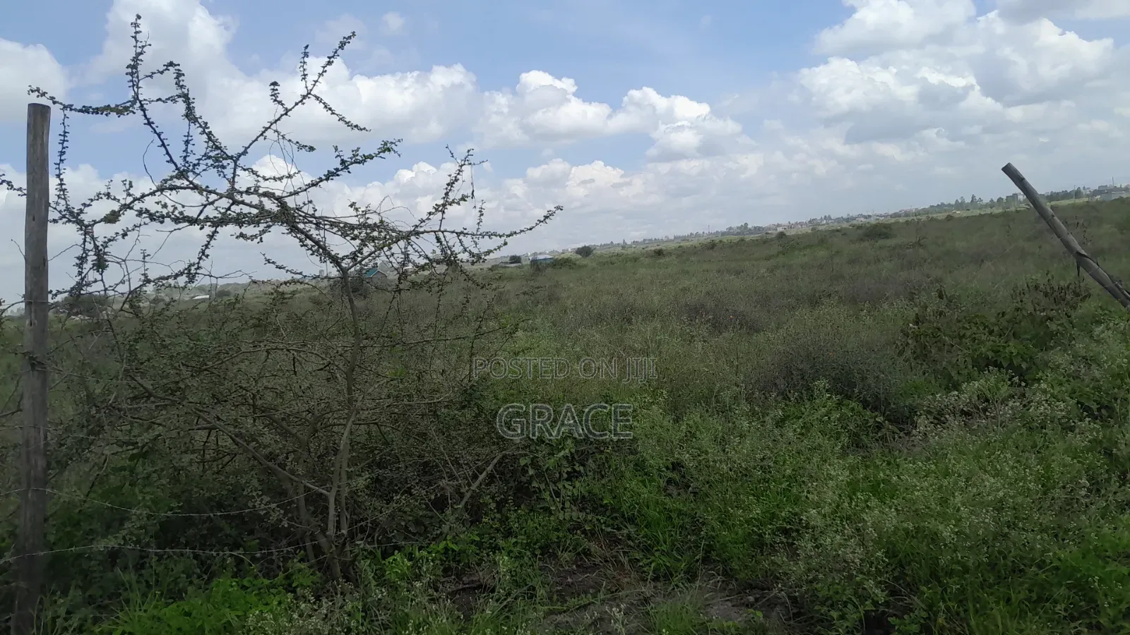 Amani Gardens Off Namanga Highway in Namanga