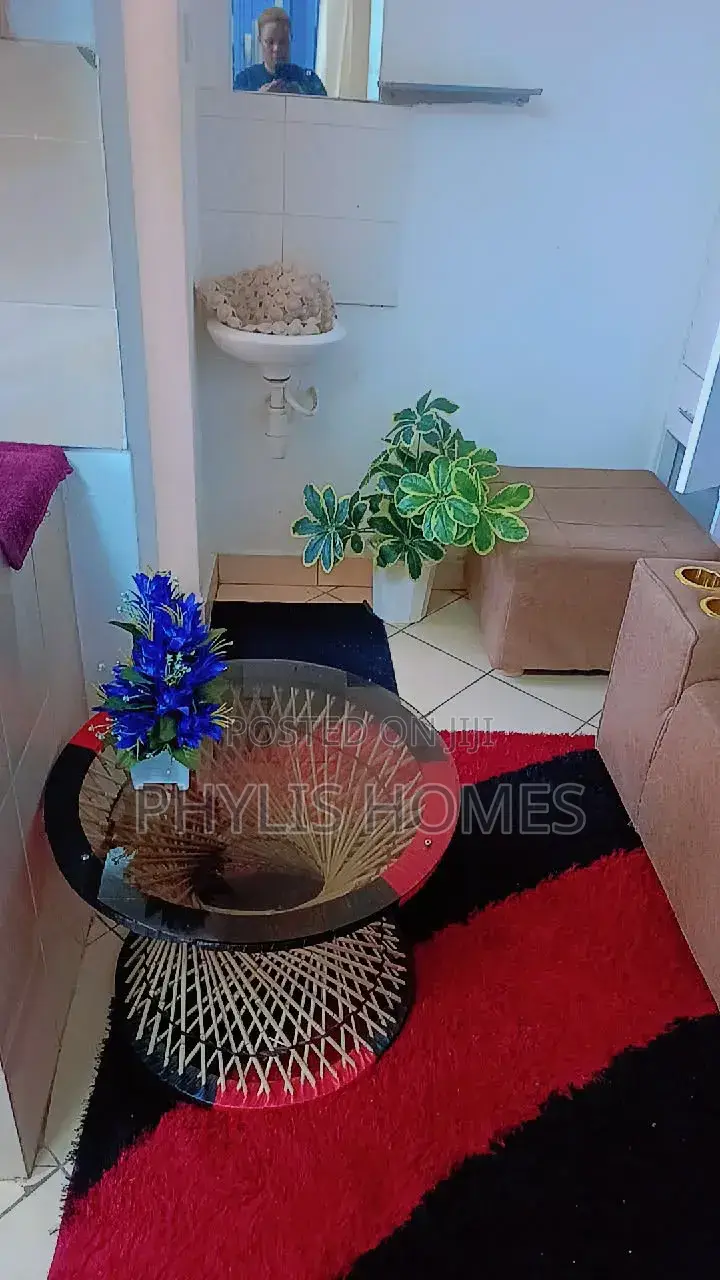 Comfy Homes Airbnb in South B in South B