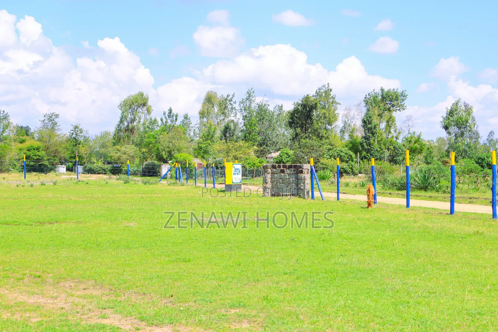 50 By 100 Residential Plots In Kilimambogo in Gatuanyaga