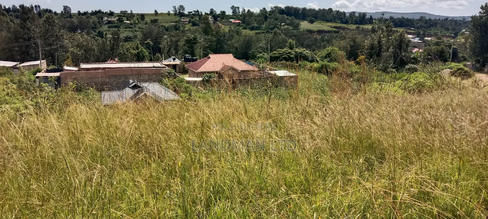 Thika Maguguni Prime 1/2 Acre in Ngoliba