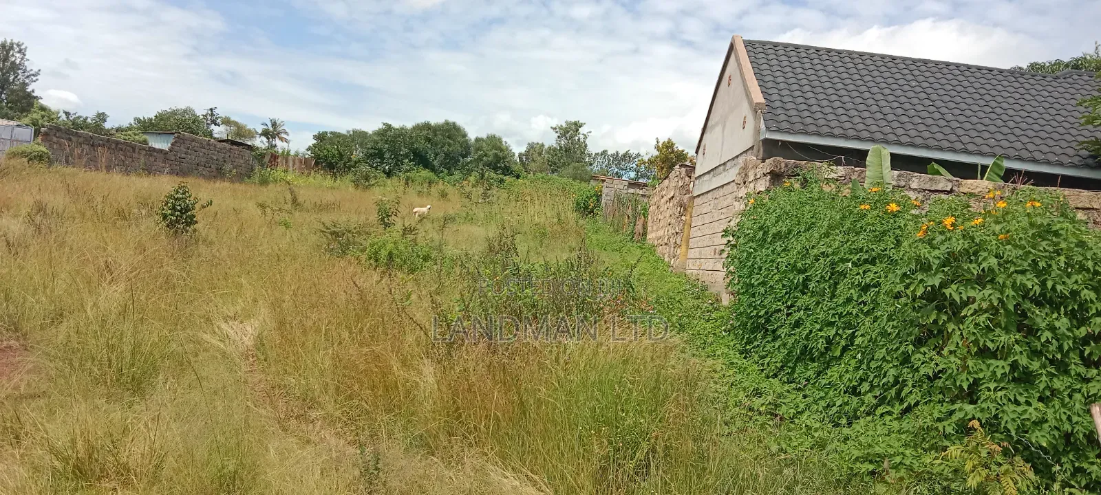 Thika Maguguni Prime 1/2 Acre in Ngoliba