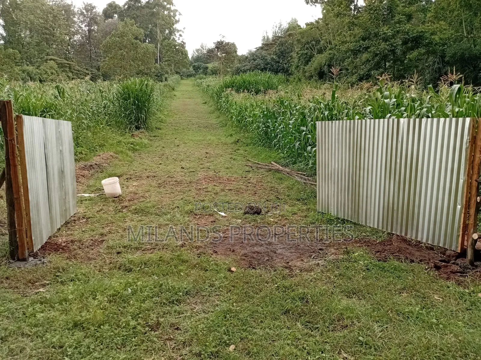 Ngong Town Land for Sale in Ngong CBD