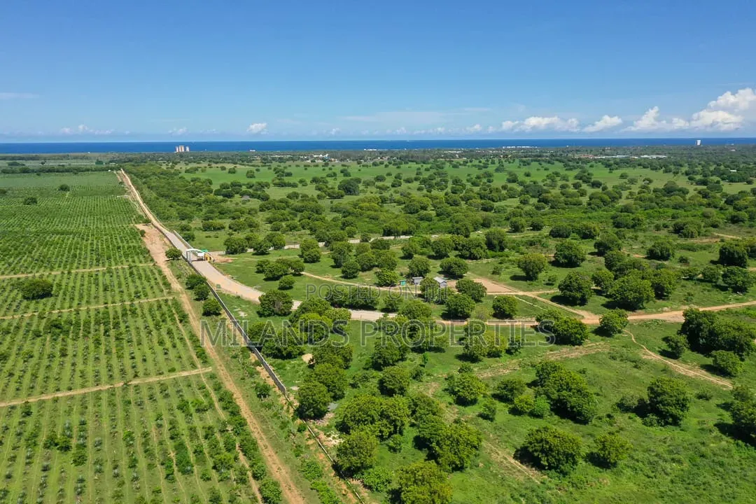 Land for Sale in Kilifi Vipingo in Vipingo