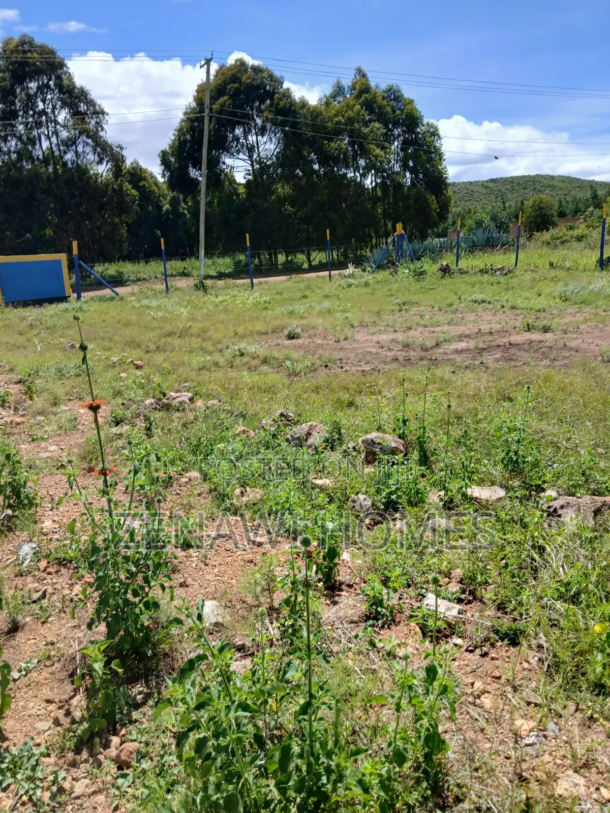Kamangu Residential Plots for Sale in Thogoto
