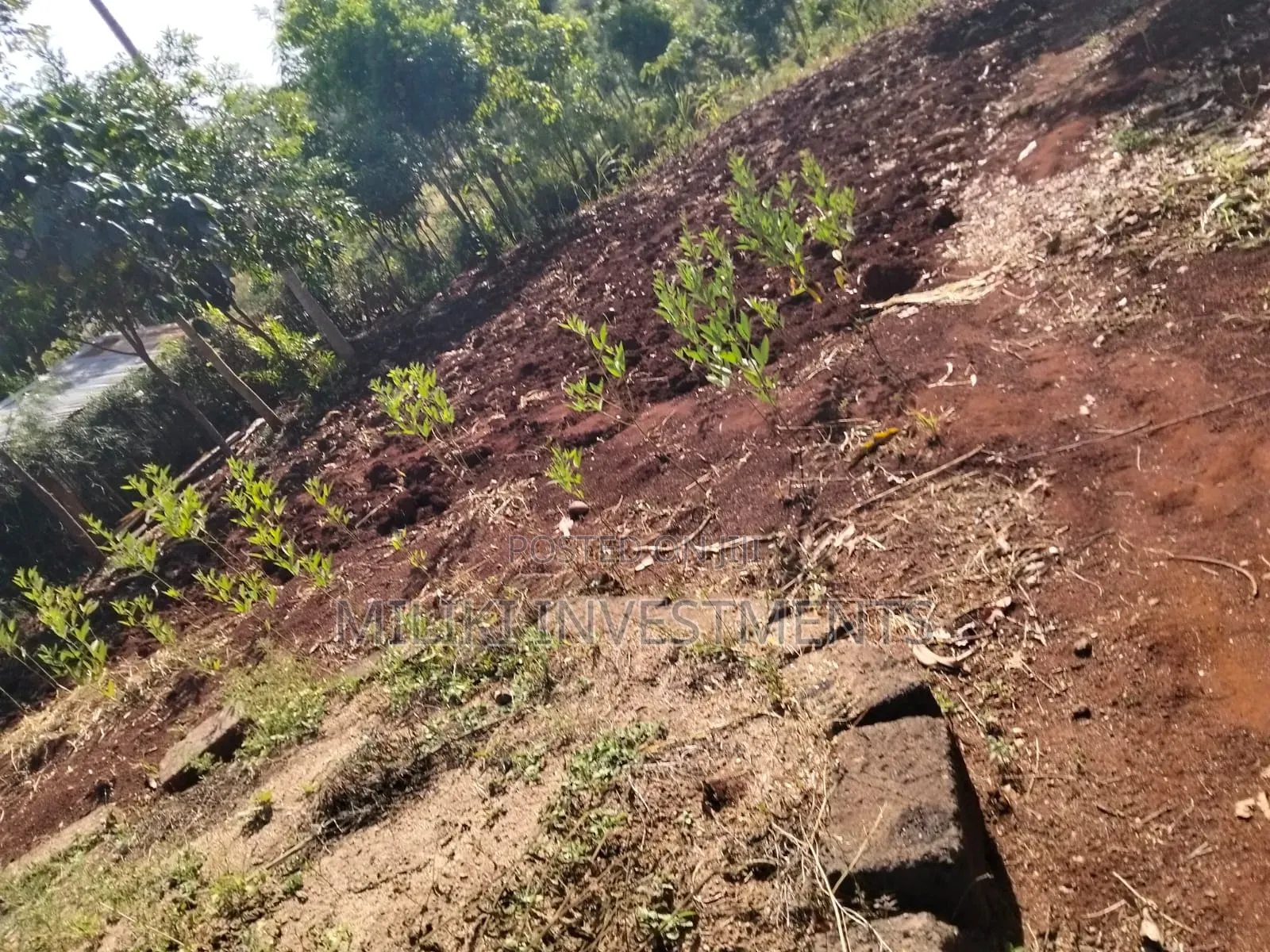1.5 Acres on Sale at Sabasaba-Kamahuha in Makuyu