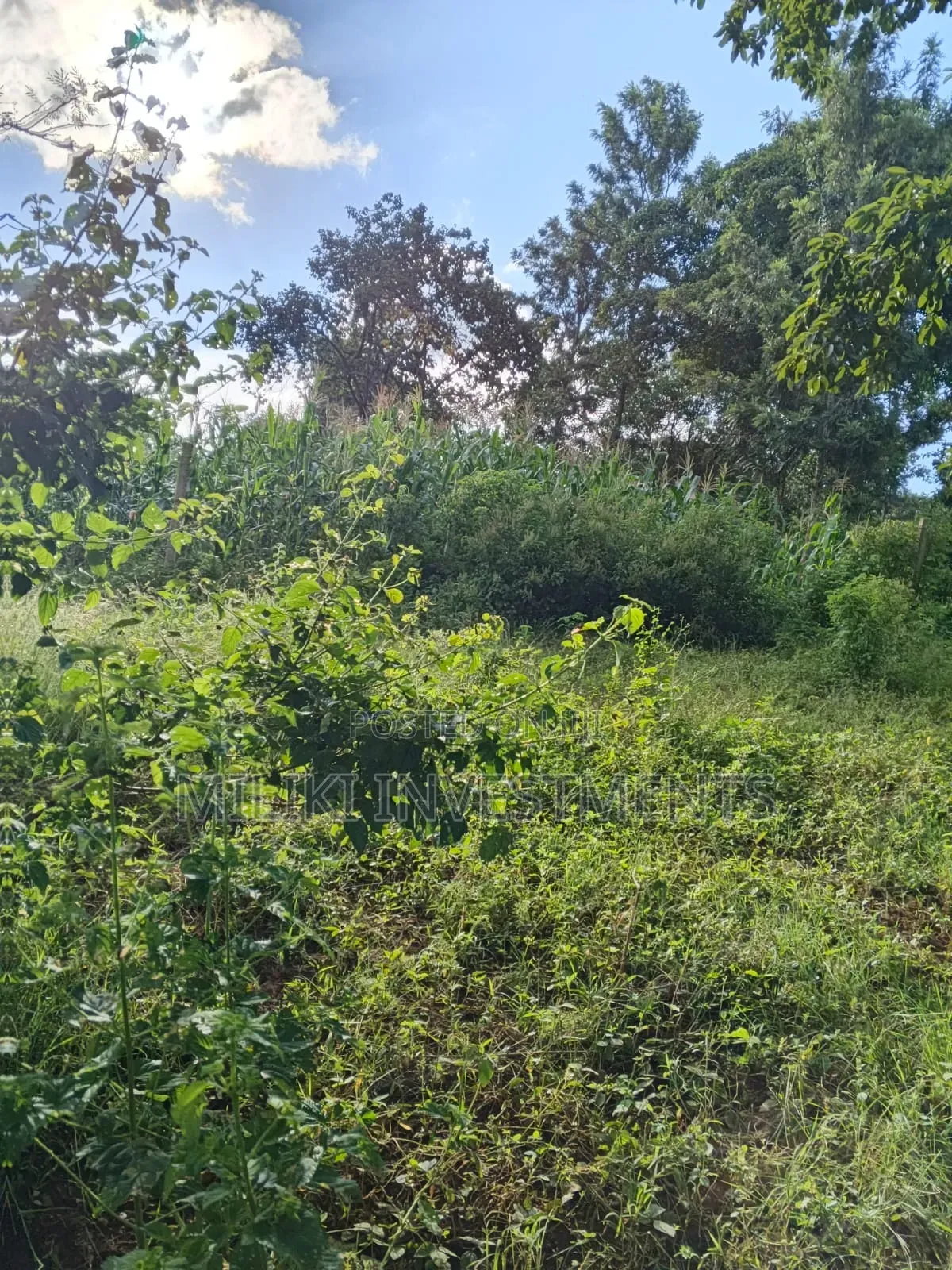 2 Acres on Sale at Makuyu -Mithiini in Makuyu