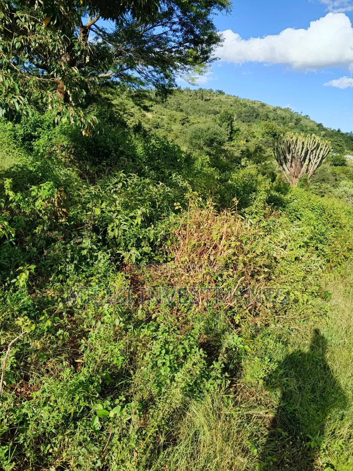 2 Acres on Sale at Makuyu -Mithiini in Makuyu
