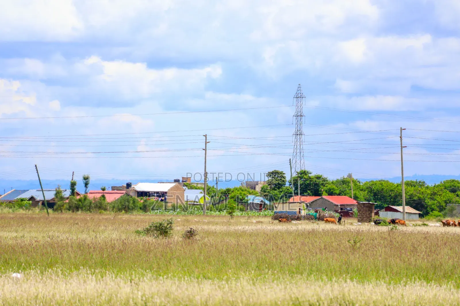 Juja-Muthaara Residential Plot. CKK in Muthara