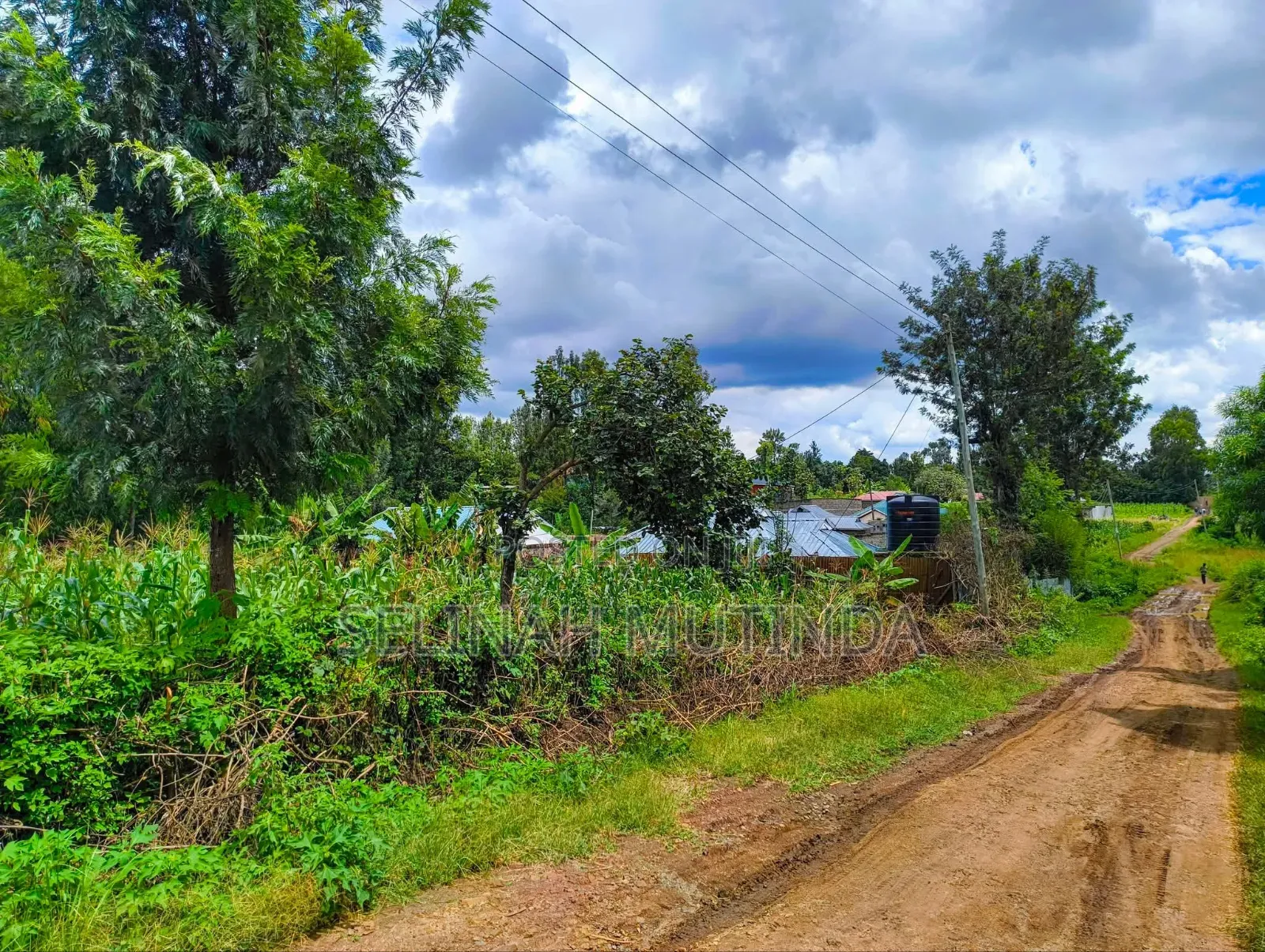 Kenol Muranga Plots in Kimorori/Wempa