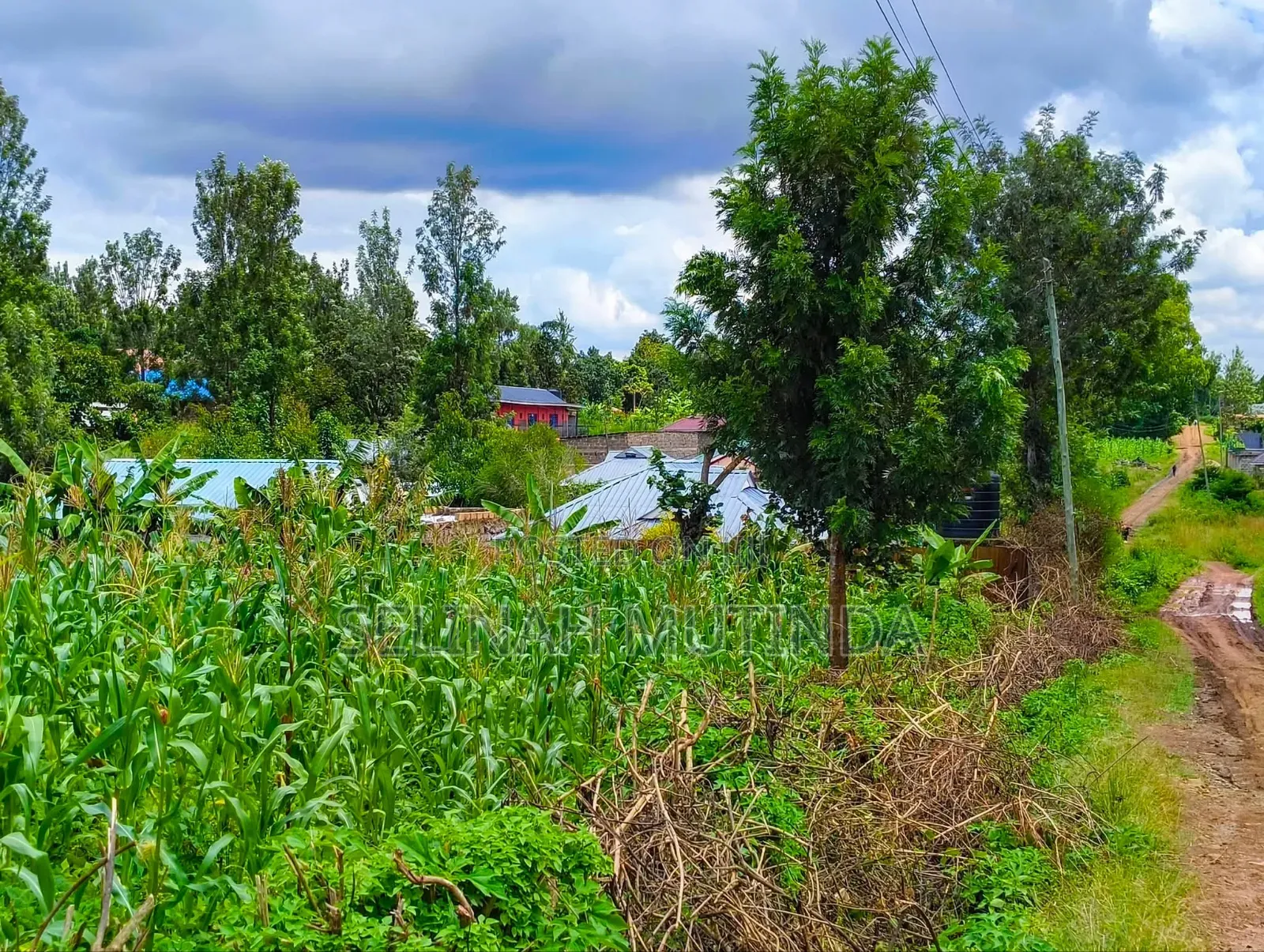 Kenol Muranga Plots in Kimorori/Wempa