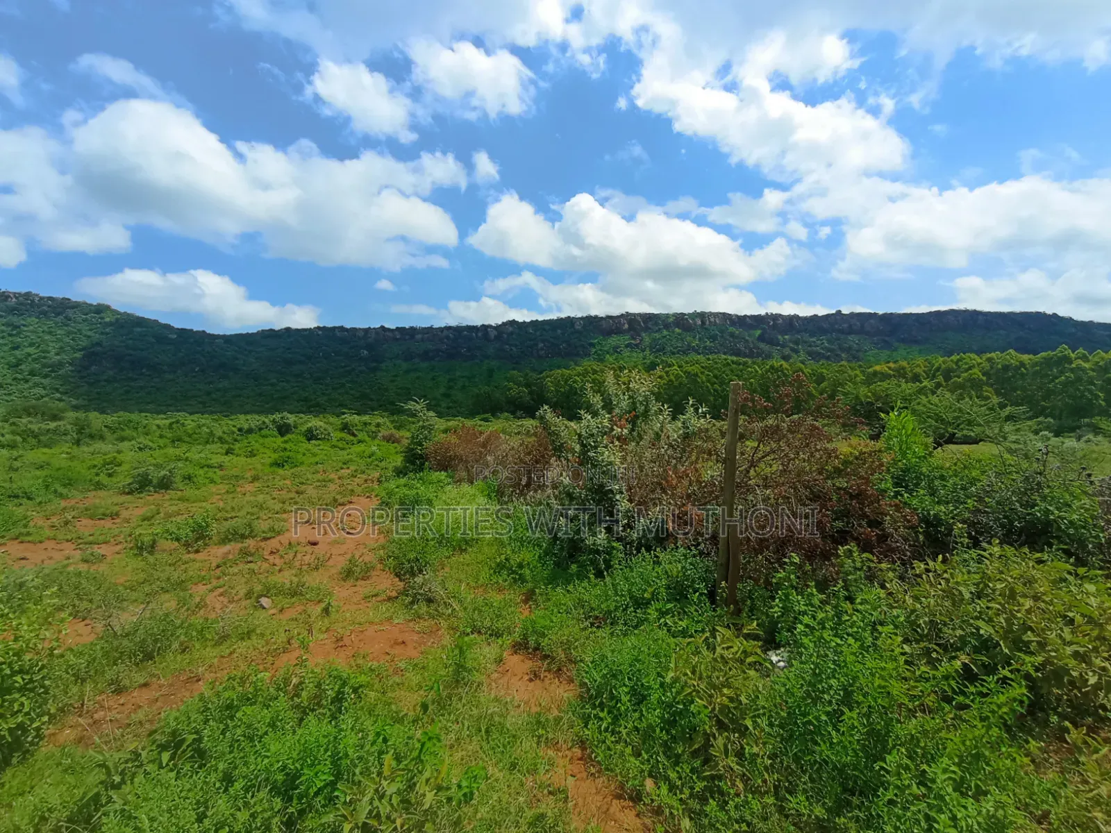 1/4 Acre Plots for Sale in Ndigiro, Kimuka, Ngong in Ngong CBD