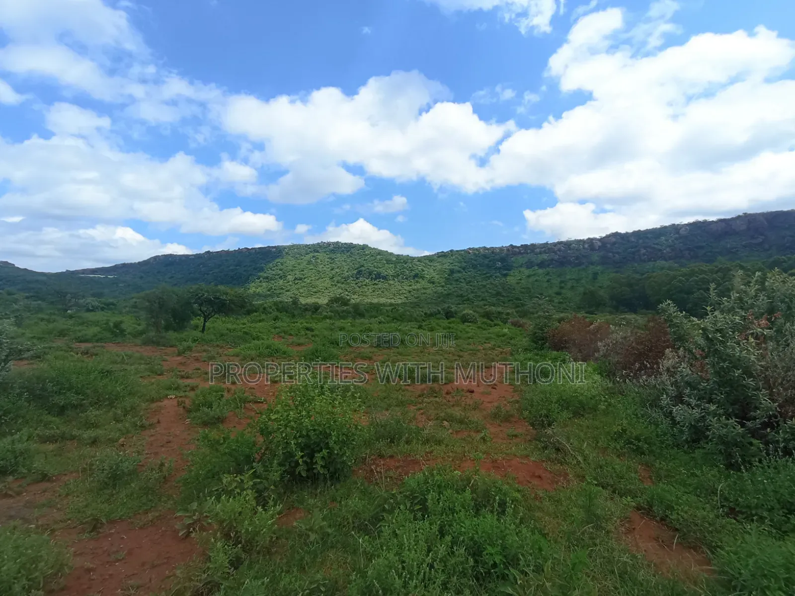 1/4 Acre Plots for Sale in Ndigiro, Kimuka, Ngong in Ngong CBD