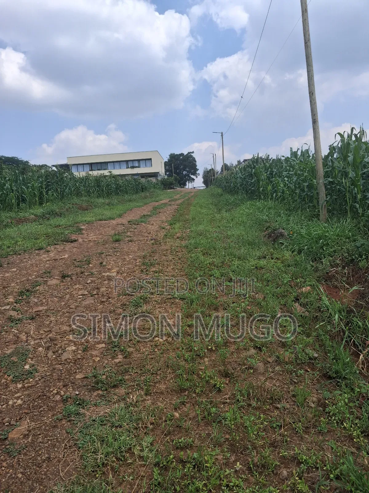 Kamiti Ridge Estate Prime Well Drained Residential Red 50x100 Plot in Kahawa Maziwa