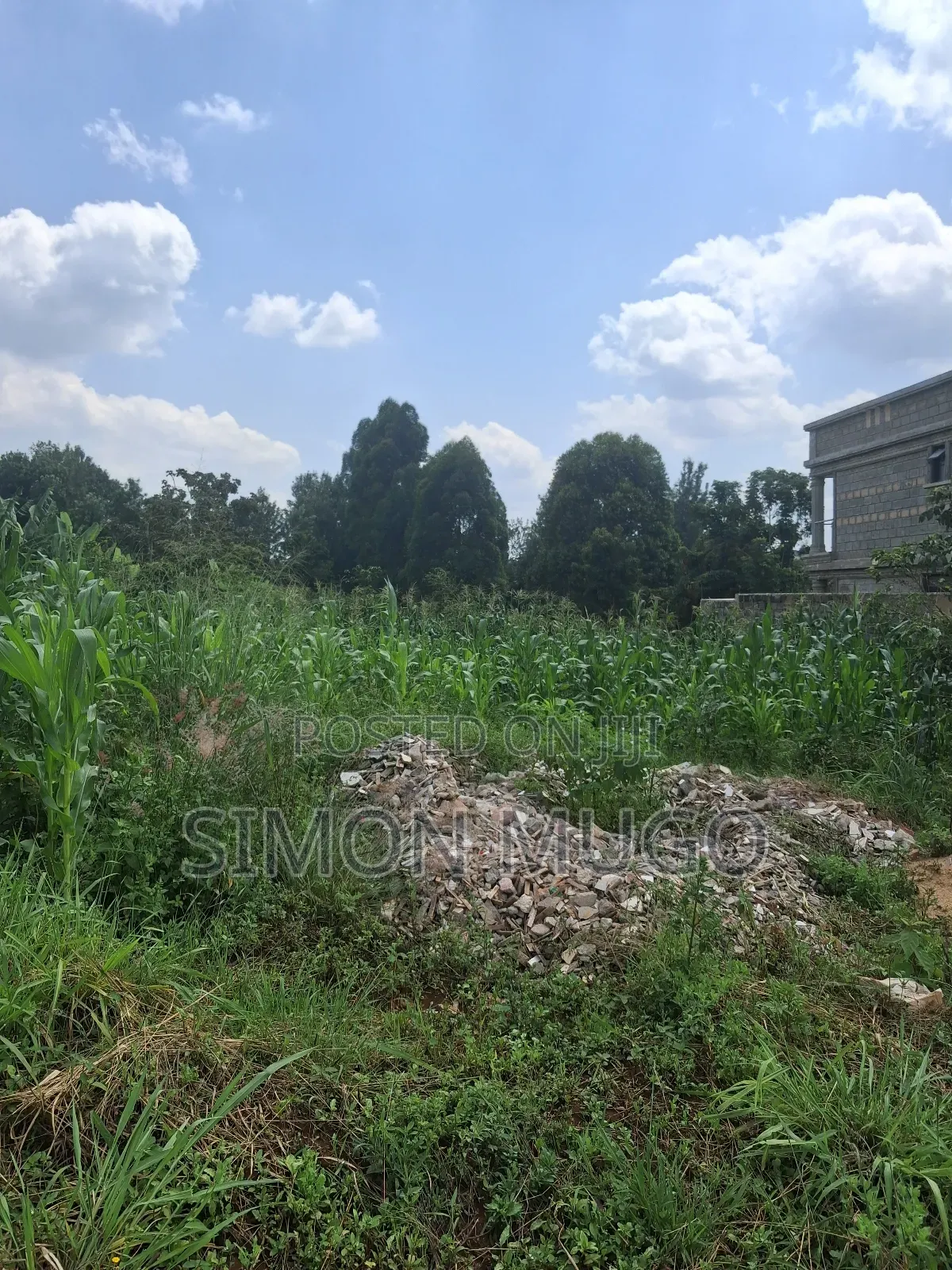 Kamiti Ridge Estate Prime Well Drained Residential Red 50x100 Plot in Kahawa Maziwa