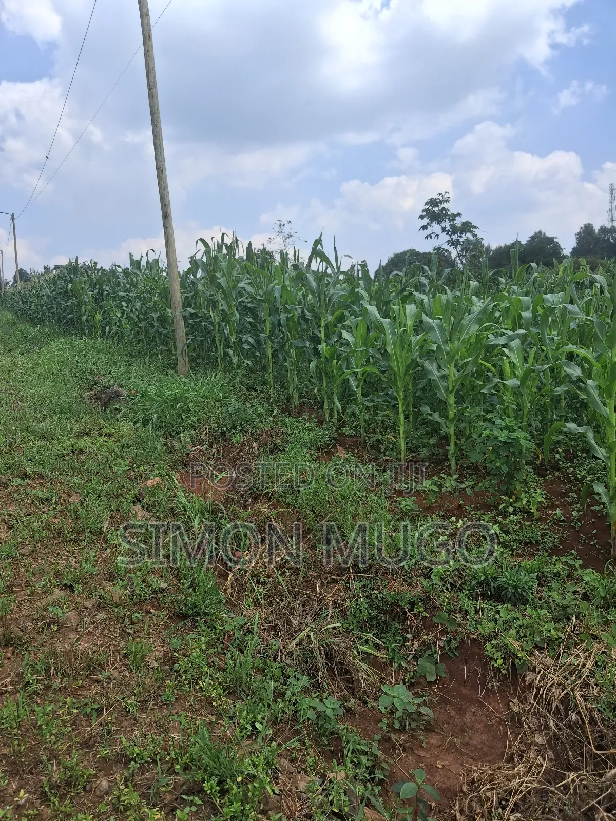 Kamiti Ridge Estate Prime Well Drained Residential Red 50x100 Plot in Kahawa Maziwa