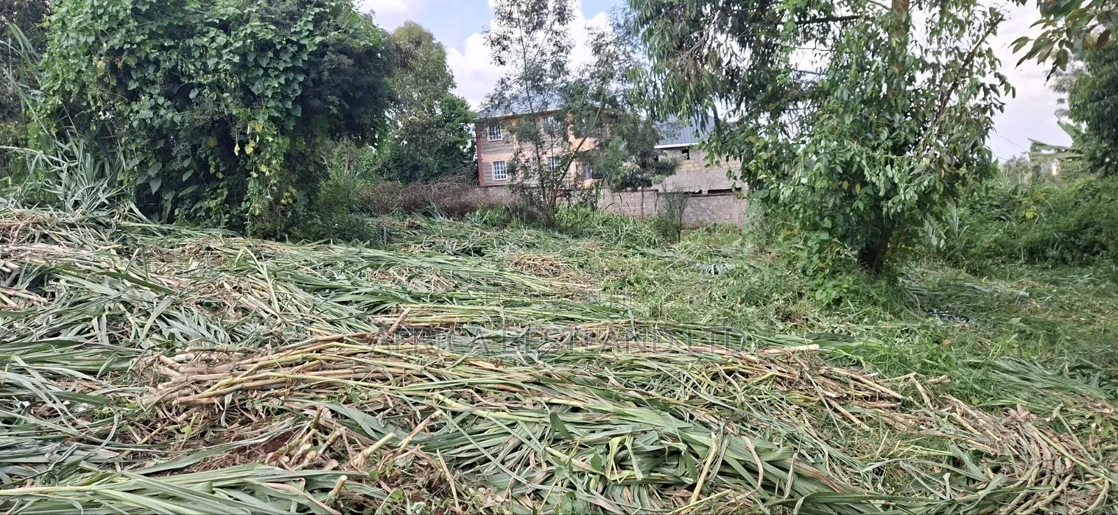 Prime Apartment Investment Plot for Sale – Kabete Kibichiku in Kabete