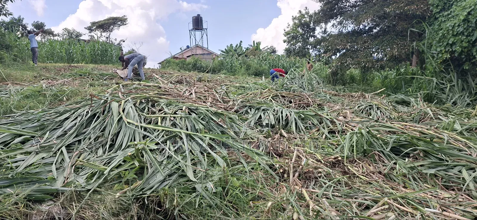 Prime Apartment Investment Plot for Sale – Kabete Kibichiku in Kabete