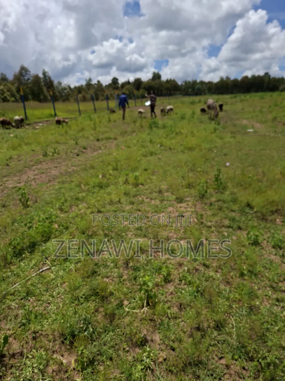 View Your Plot This Rainy Season.Jr in Zambezi/Sigona