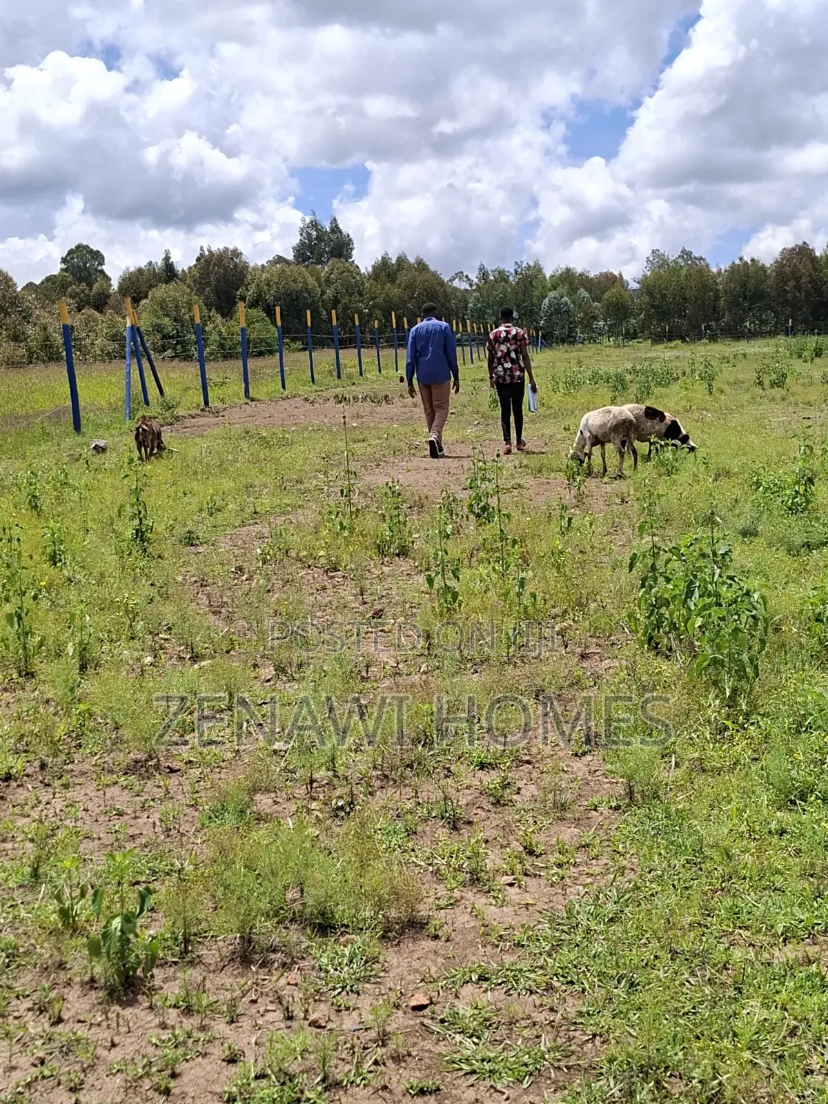 View Your Plot This Rainy Season.Jr in Zambezi/Sigona