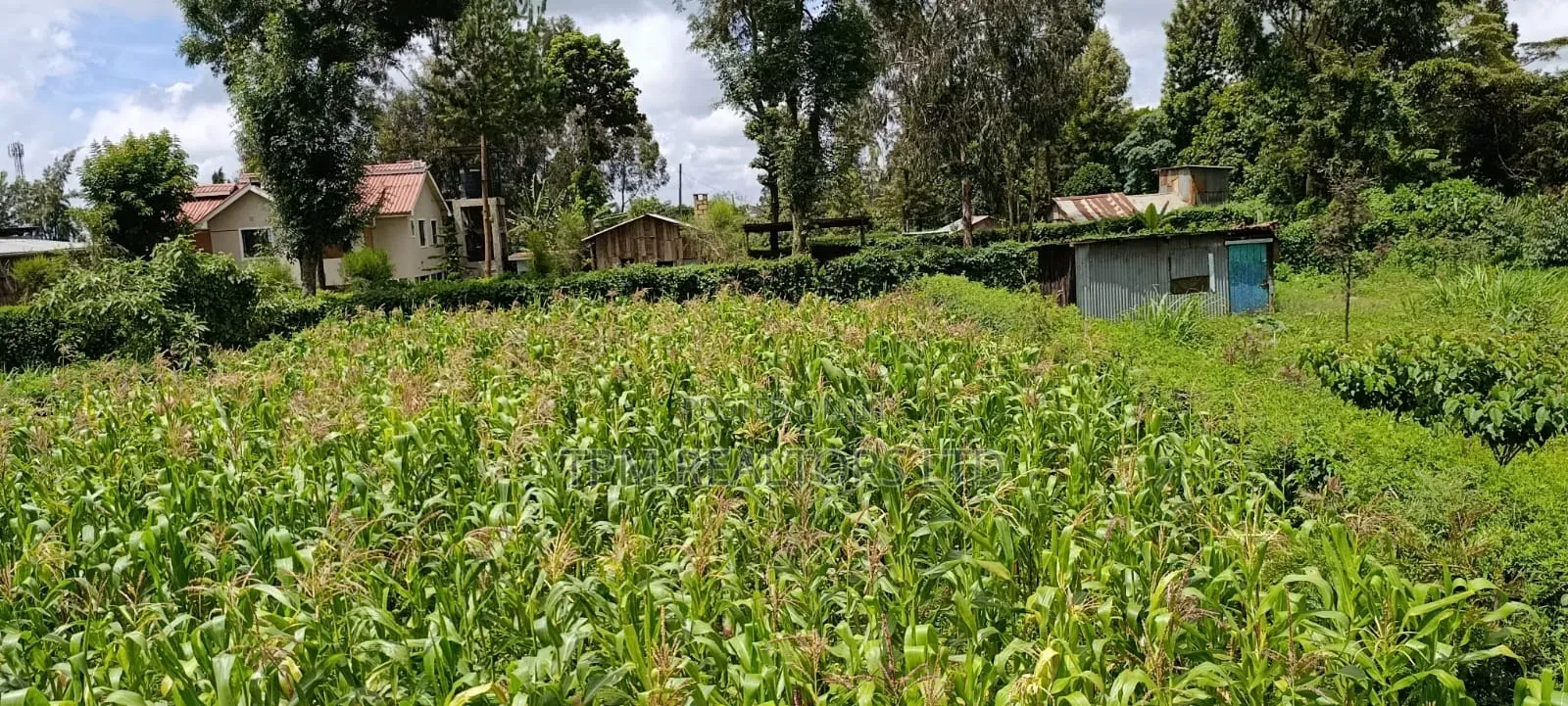 T-Plot in Thigio Kikuyu in Karai