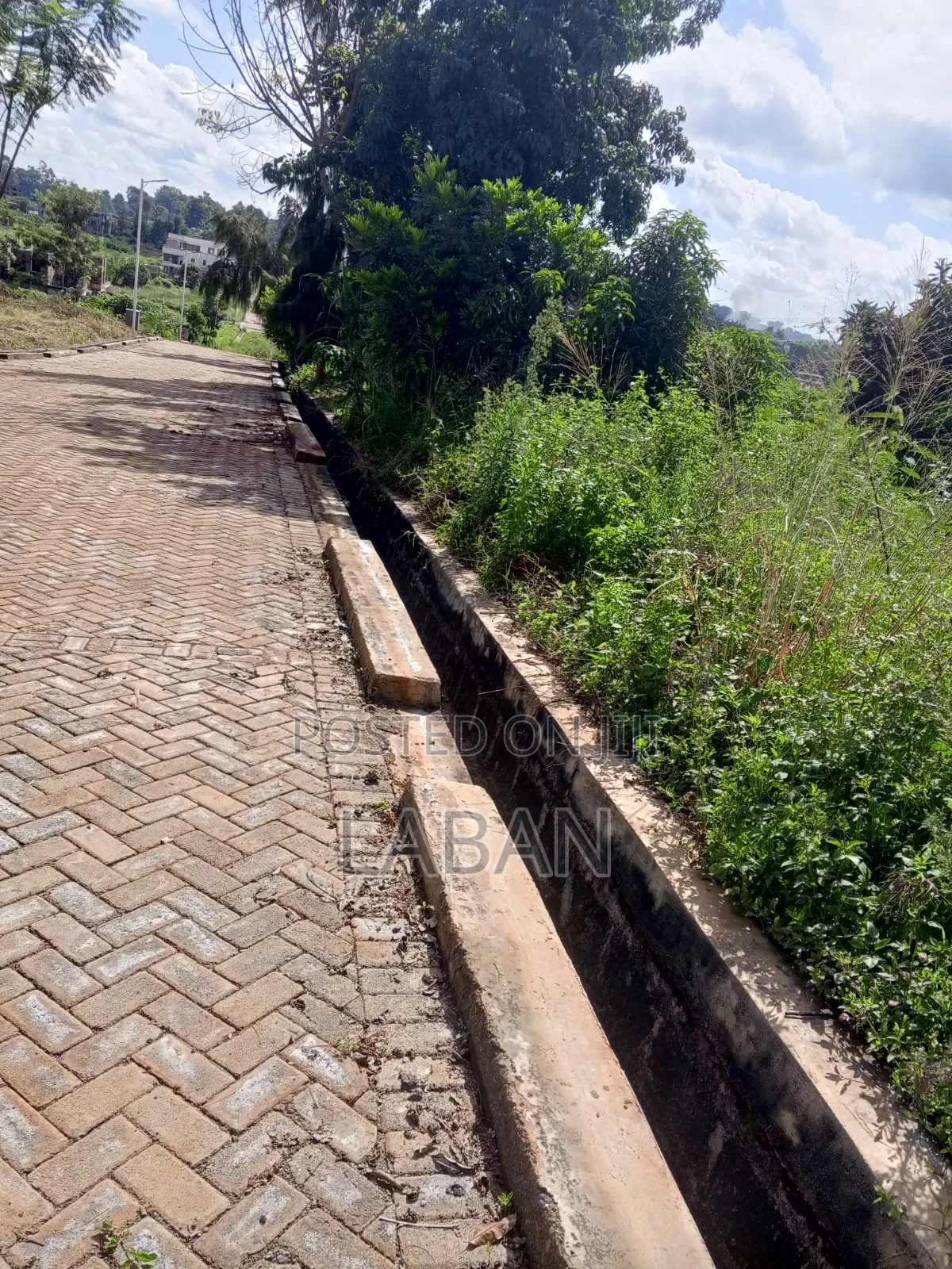 50x100 Commercial Plot Amani Rigde in Membley Estate