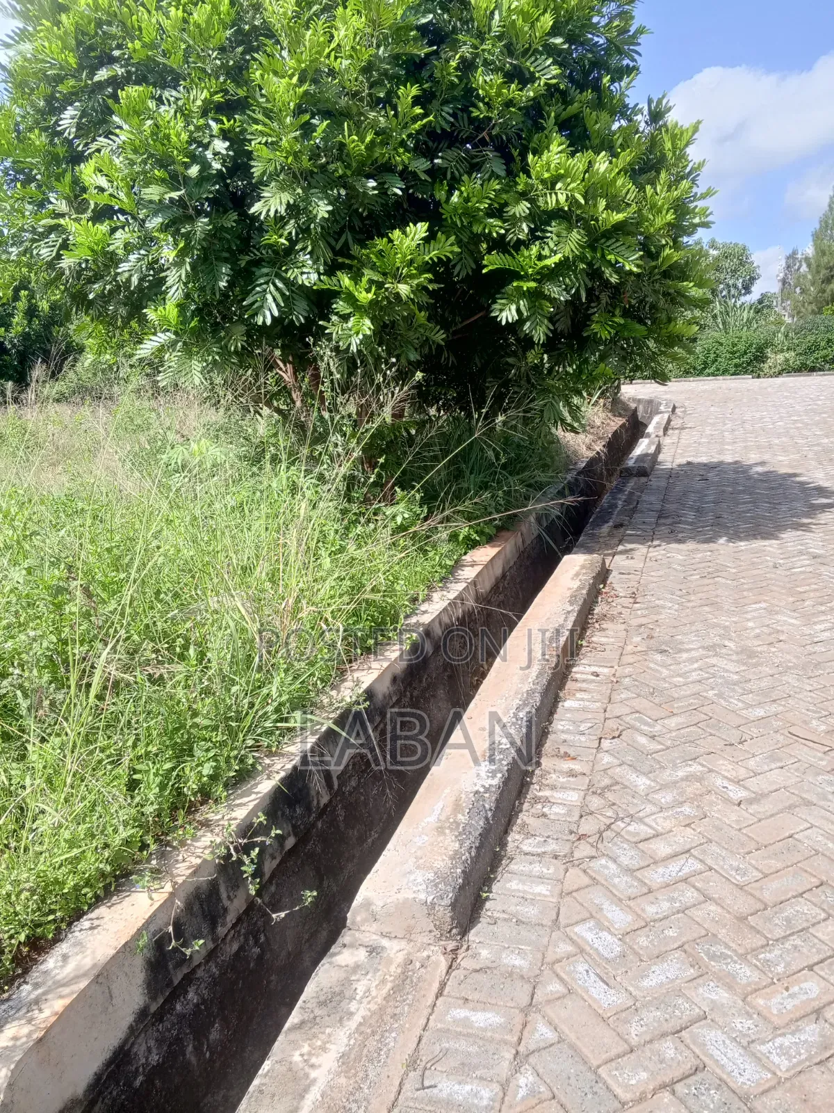 50x100 Commercial Plot Amani Rigde in Membley Estate