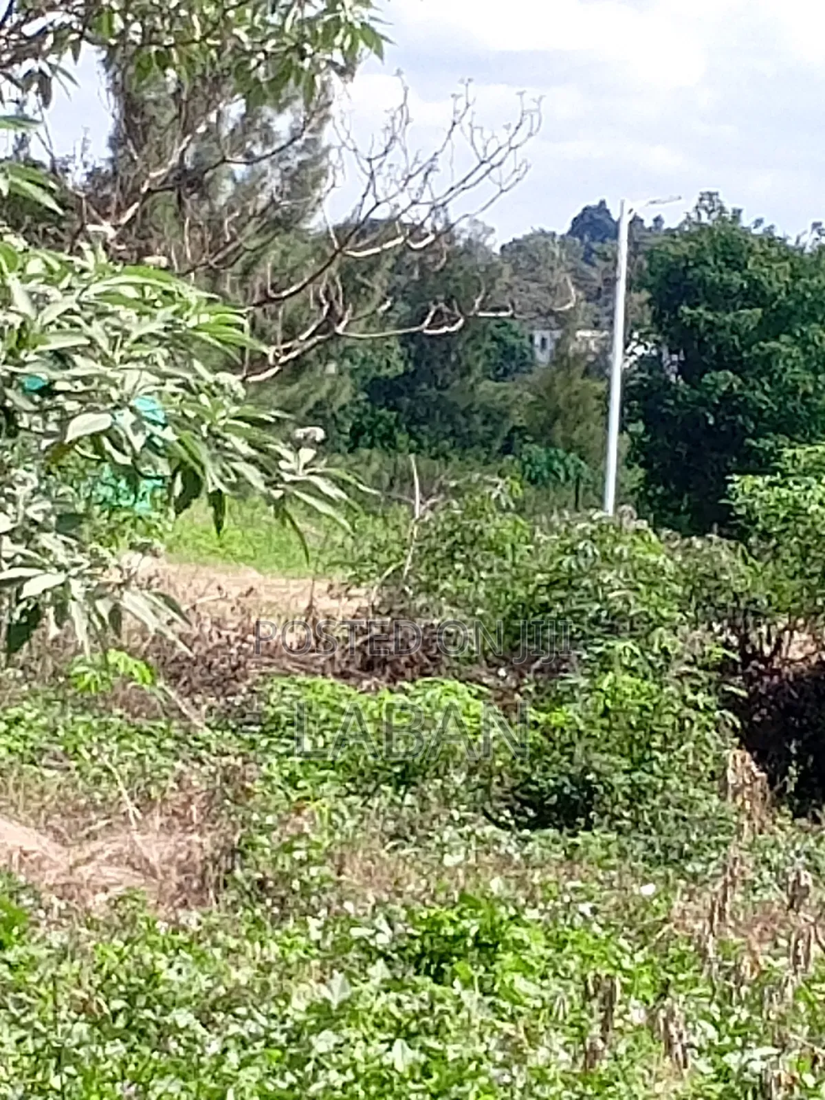 50x100 Commercial Plot Amani Rigde in Membley Estate