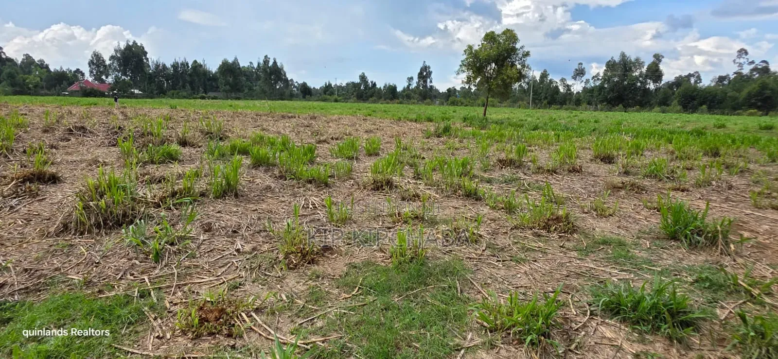 6 Acres for Sale in Kapsetet Bypass Eldoret in Wareng